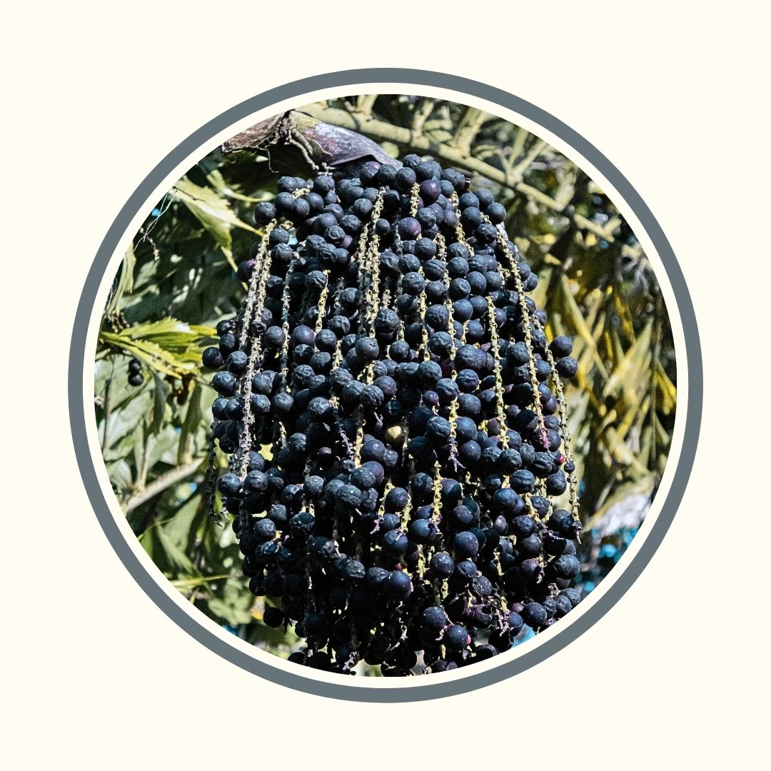 Esfoliante de Açai