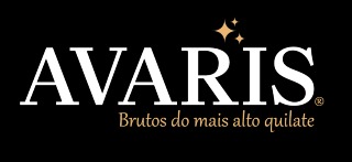 Logomarca de AVARIS BRUTO | Bijuterias no Bruto