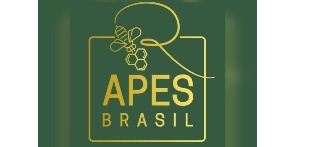 Logomarca de APES BRASIL | Lacres de Segurança e Abraçadeiras Plásticas