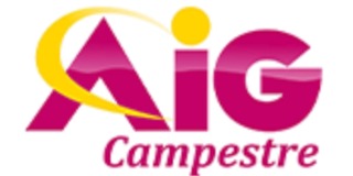 Logomarca de AIG Campestre