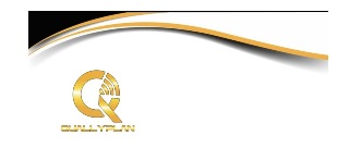 Logomarca de QUALLYPLAN | Infraestrutura para Negócios