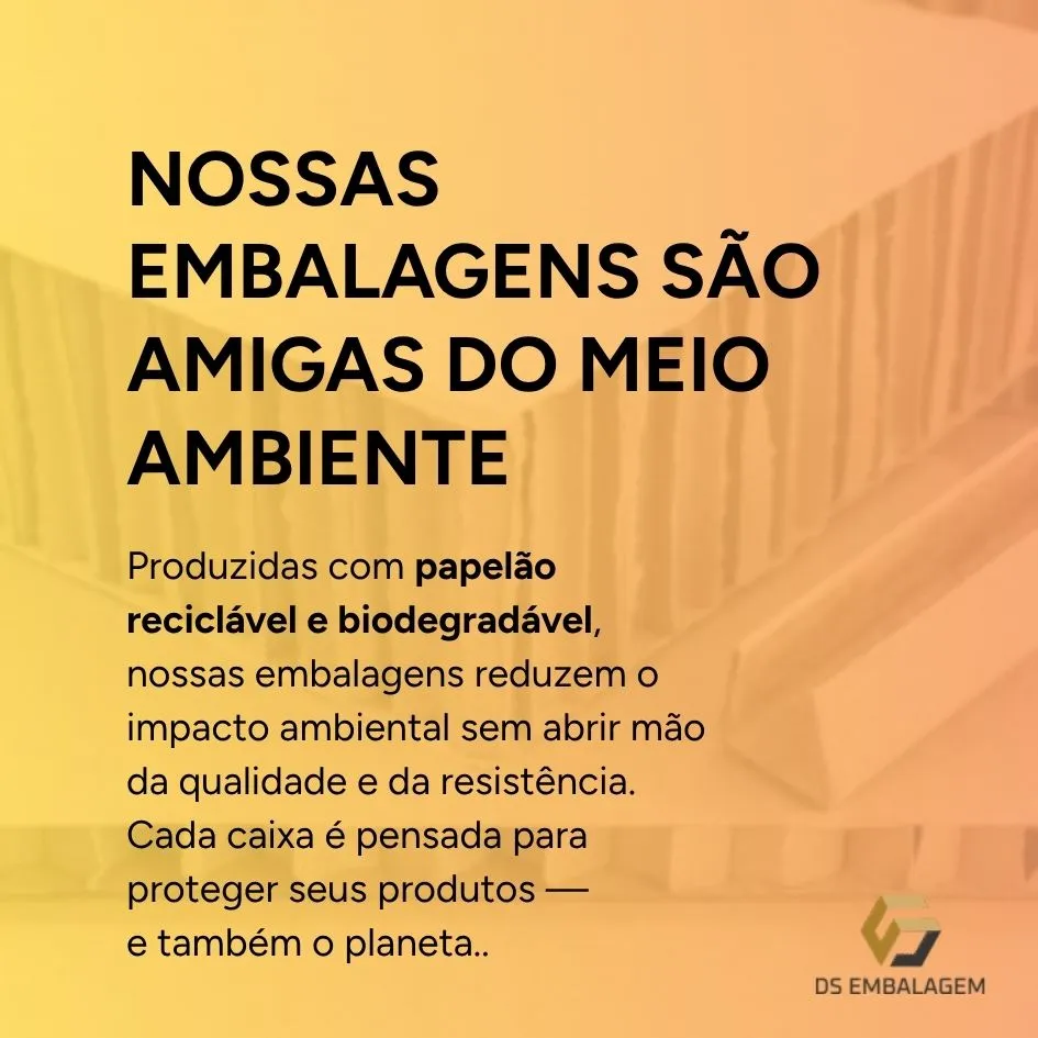 DS EMBALAGEM | Embalagens de Papelão — galeria 8