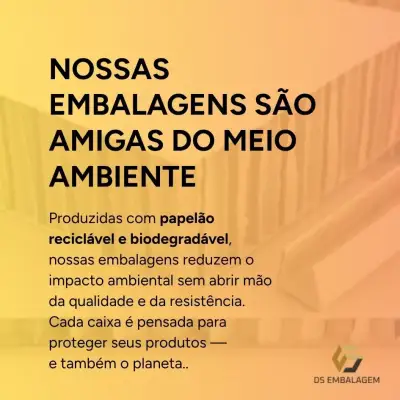 DS EMBALAGEM | Embalagens de Papelão — galeria 8