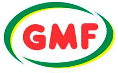GMF DISTRIBUIDORA