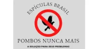 POMBOS NUNCA MAIS | Espículas