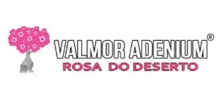 Rosa do Deserto - Valmor Adenium