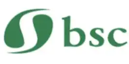 BSC Químicos