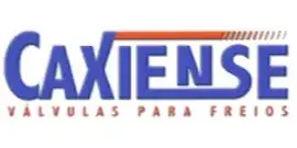 Indústria de Válvulas Caxiense - Indústria Metalúrgica