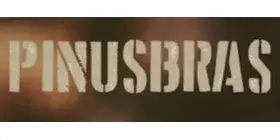 Pinusbras Exp. de Madeiras