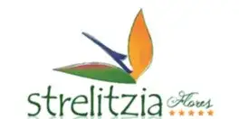 Strelitzia Flores