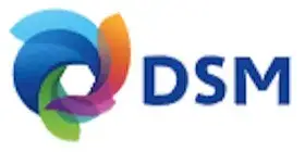 DSM South America