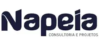 NAPEIA | Consultoria e Projetos