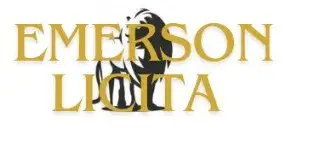 EMERSON LICITA | Licitações