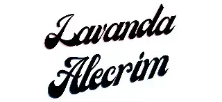 LAVANDA E ALECRIM | Moda Plus Size