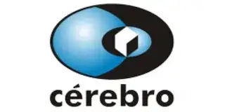 Cérebro Engenharia e Tecnologia da Informação