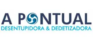 A Pontual Desentupidora e Dedetizadora