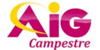 AIG Campestre