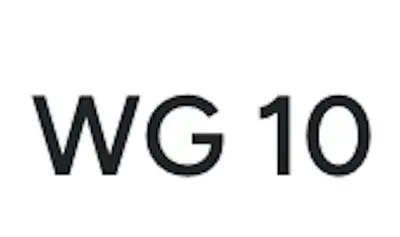 WG 10 | Pesquisa e Levantamento de Dados
