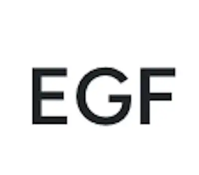EGF | Comércio e Serviços